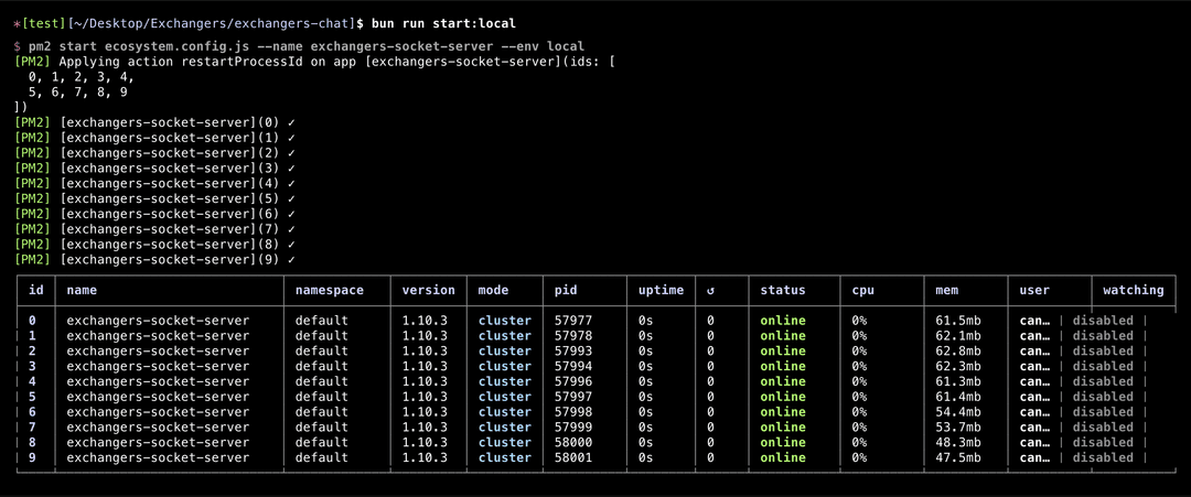 PM2 Cluster Mode